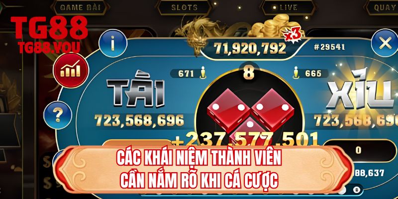 Các khái niệm thành viên cần nắm rõ khi cá cược