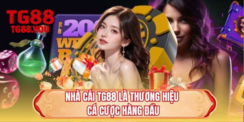 Nhà cái TG88 là thương hiệu cá cược hàng đầu 
